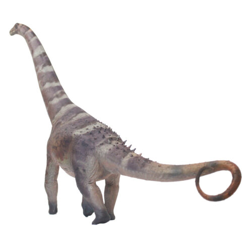 Haolonggood Alamosaurus B (Mu Hong)
