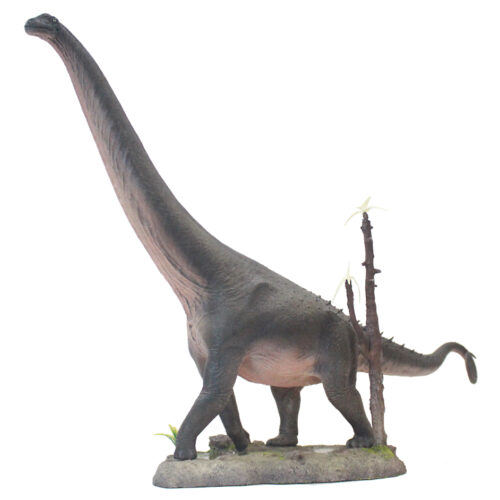 Haolonggood Alamosaurus C (Plain)