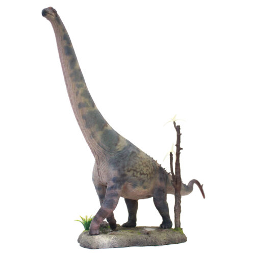 Haolonggood Alamosaurus A (Li Ying)