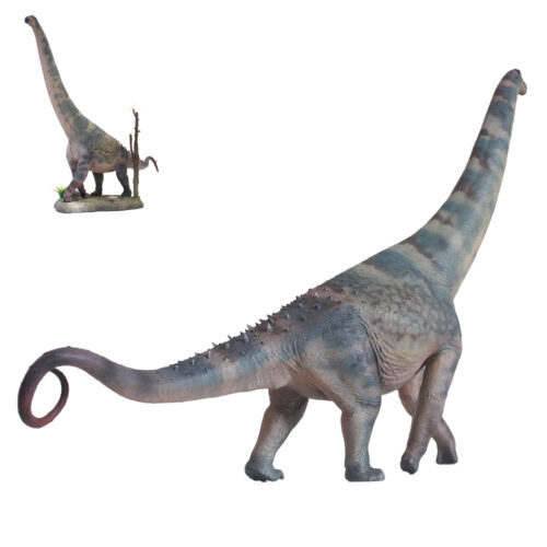Haolonggood Alamosaurus A (Li Ying)