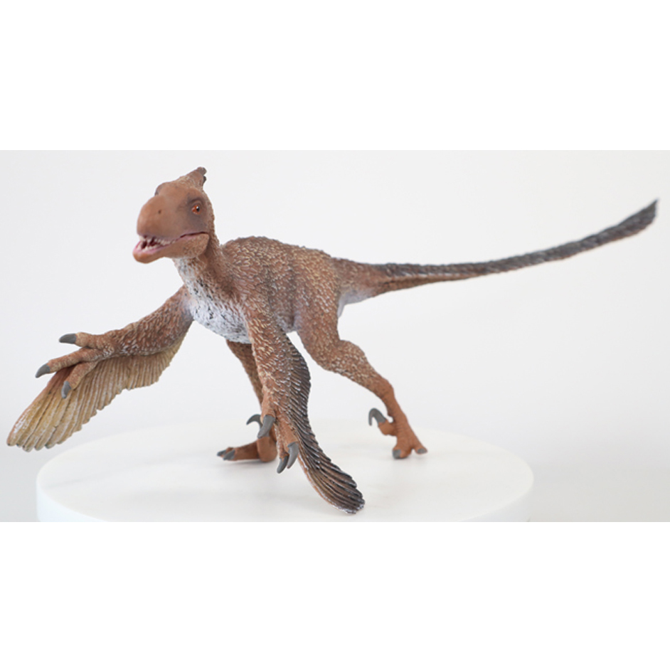 CollectA Replica Dente E Artiglio Di Velociraptor In Teca Acrilica – Fossil Set Da Collezione