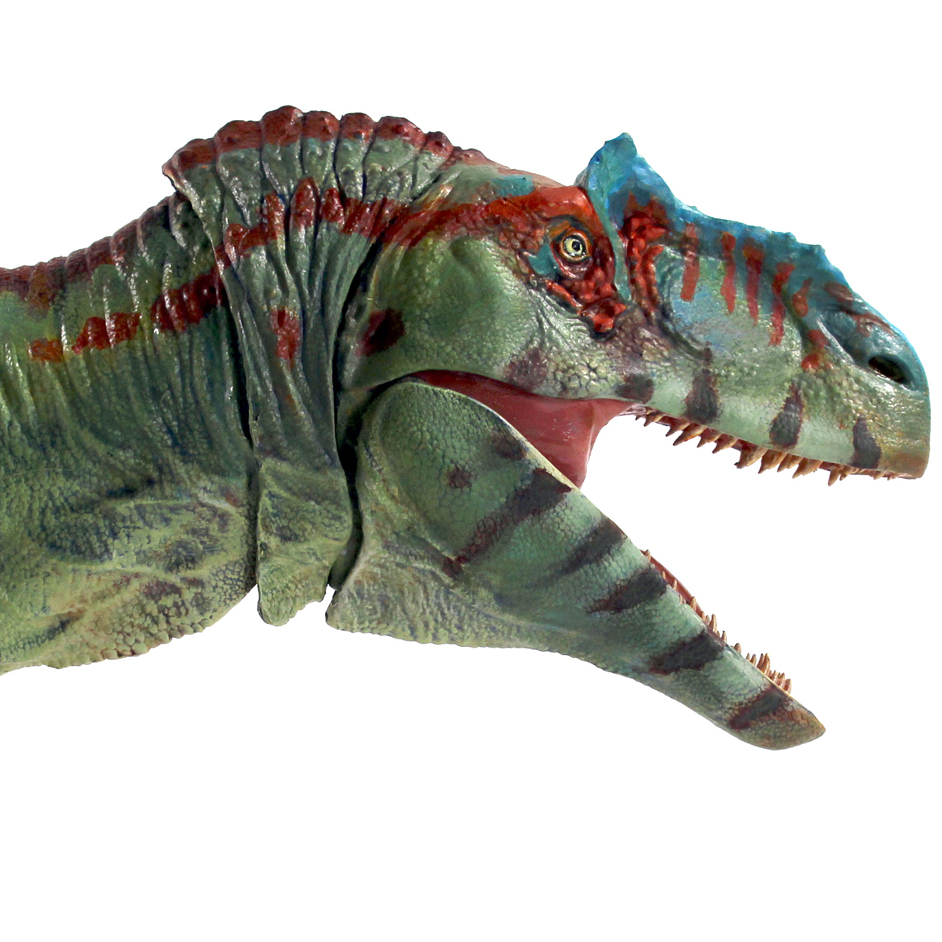 Beasts of the Mesozoic Allosaurus fragilis - Everything Dinosaur