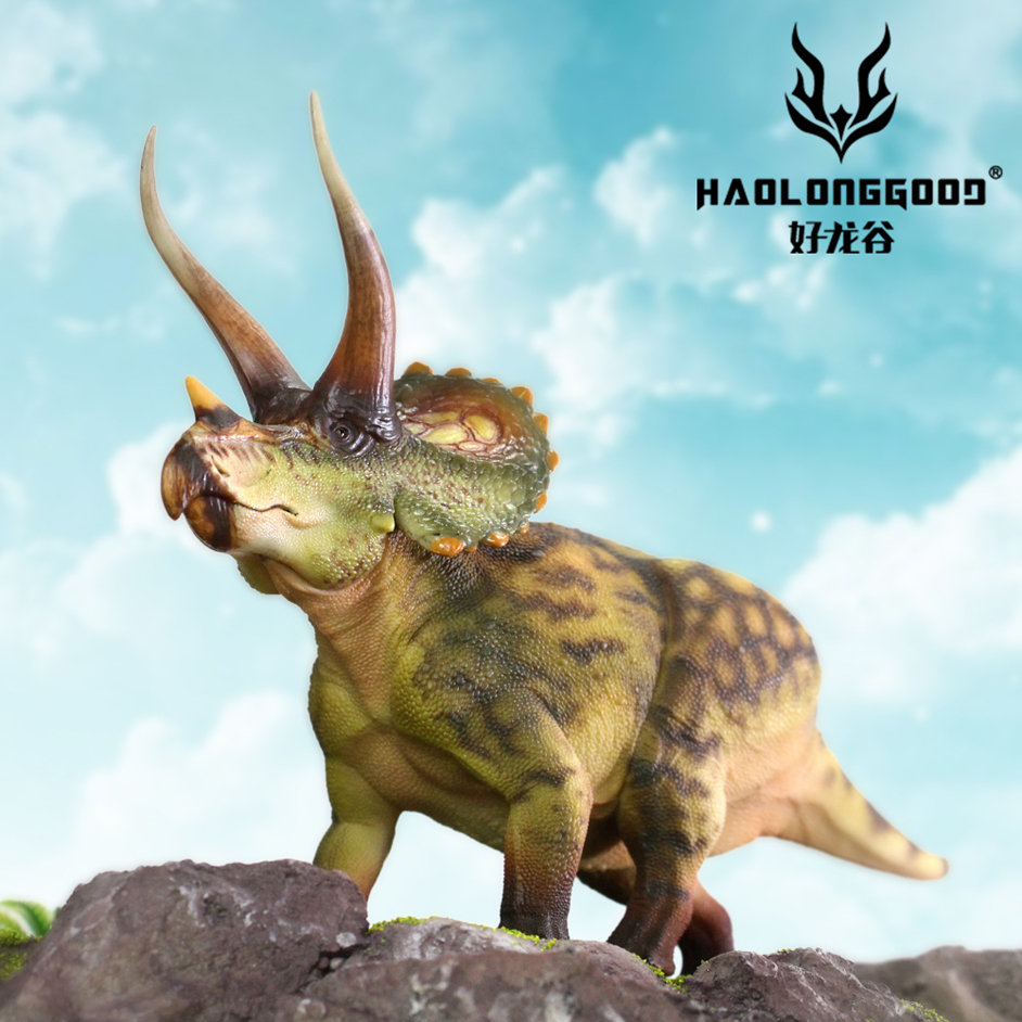 Haolonggood Triceratops (Qin Ming) - Everything Dinosaur