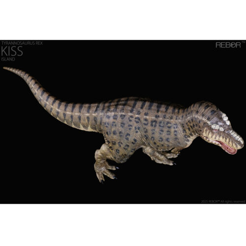 A dorsal view of the 1:35 scale tyrannosaur figure.