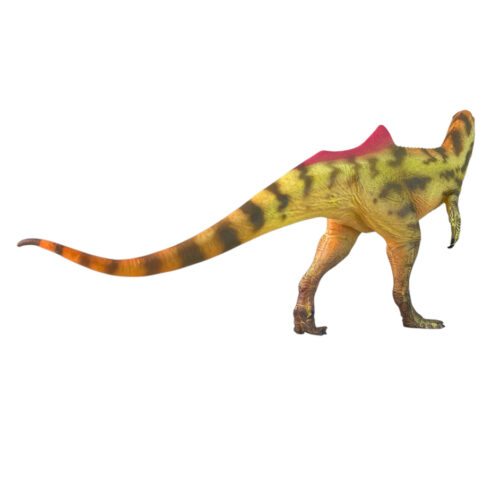Dinosaur model in posterior view (Li Li).