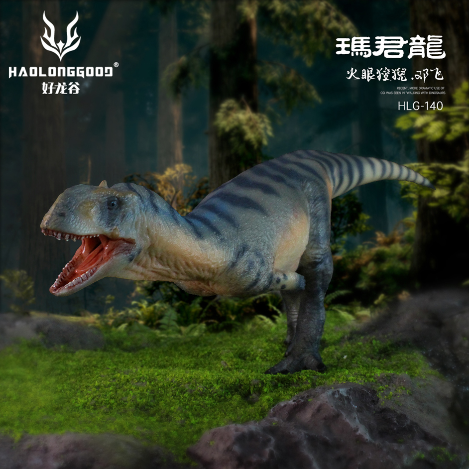 Haolonggood Majungasaurus (Deng Fei) - Everything Dinosaur