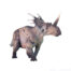 Haolonggood Styracosaurus (Chen Da)