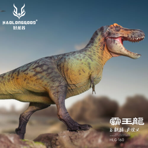 Haolonggood T. rex Lu Jun Yi (Grey)