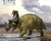PNSO Russo the Coronosaurus.