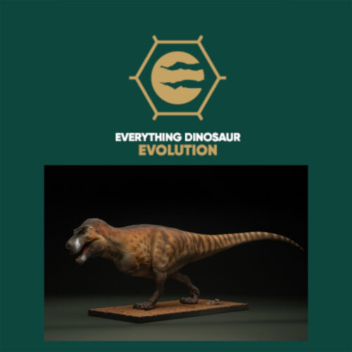 Everything Dinosaur Evolution