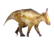 Haolonggood Saurolophus Yue He (Brown)