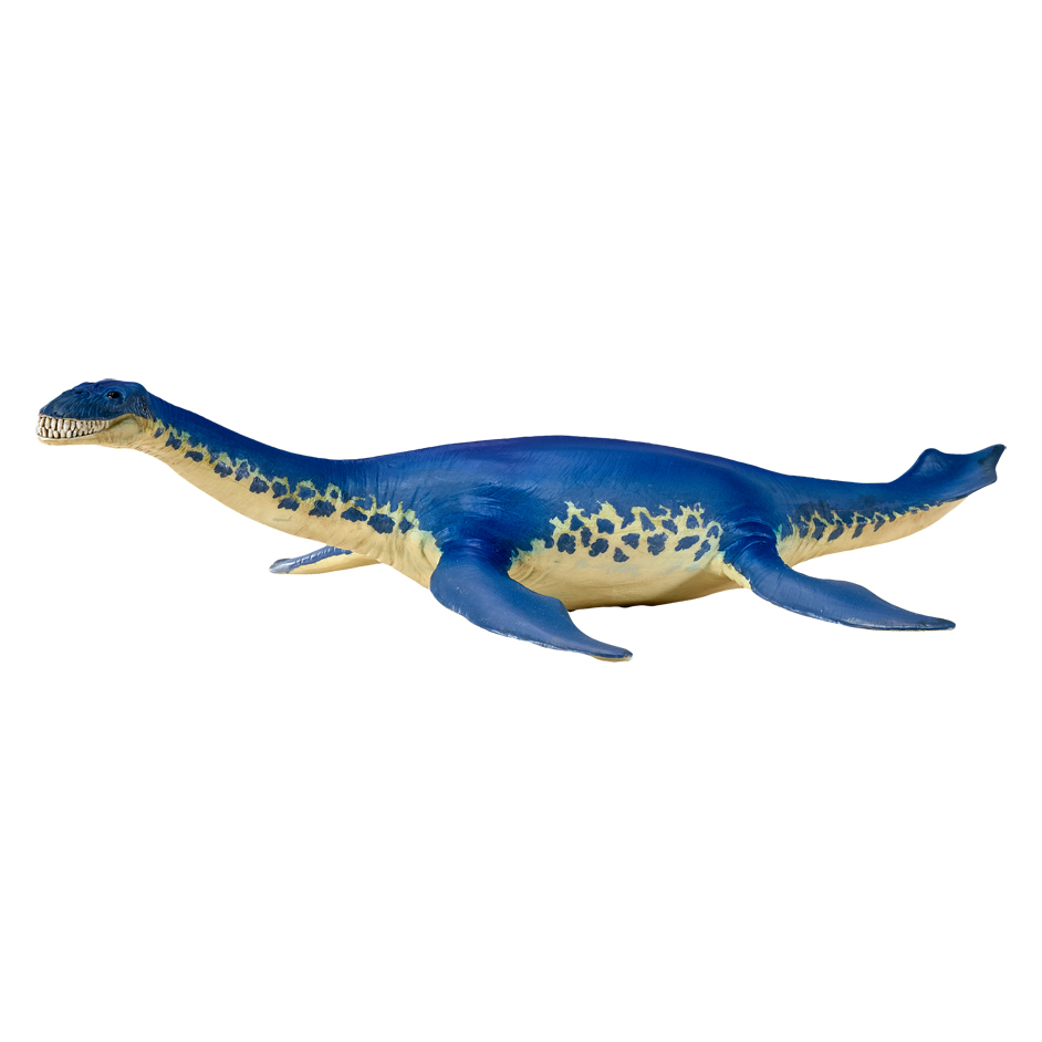 生き物・恐竜 momo Mojo Fun Cryptoclidus - Everything Dinosaur