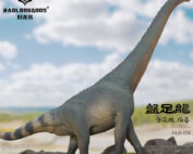 Haolonggood Euhelopus Yang Chun