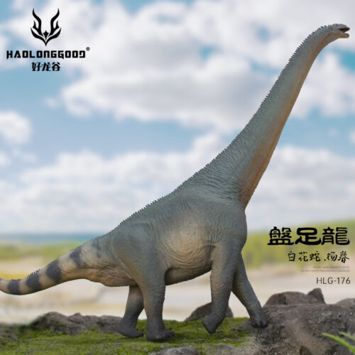 Haolonggood Euhelopus Yang Chun