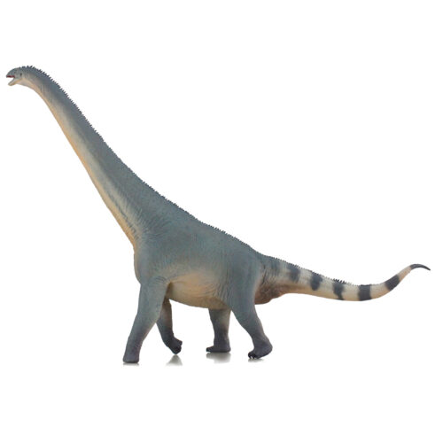 Haolonggood Euhelopus Yang Chun