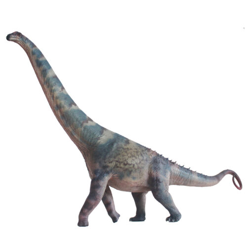 Haolonggood Alamosaurus A (Li Ying)