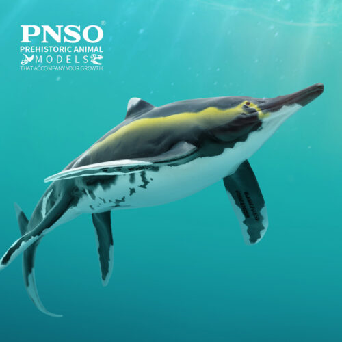 PNSO Youran the Guizhouichthyosaurus