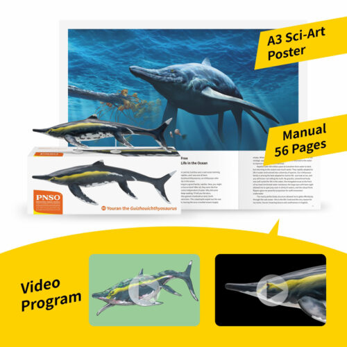 The ichthyosaur figure is supplied with a poster and a full-colour booklet.