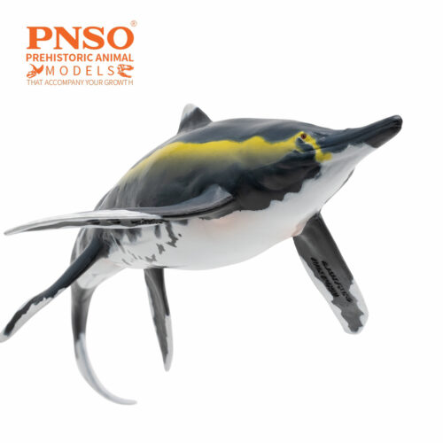 PNSO Youran the Guizhouichthyosaurus