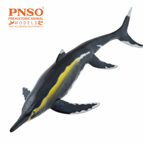 PNSO Youran the Guizhouichthyosaurus