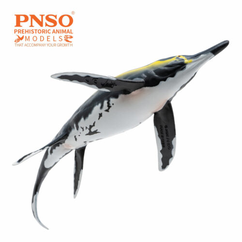 PNSO Youran the Guizhouichthyosaurus