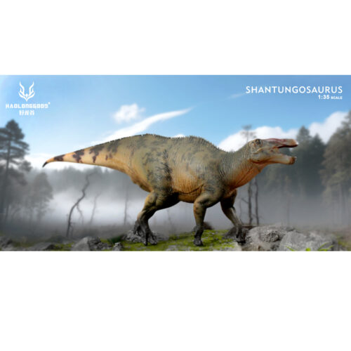 Haolonggood Shantungosaurus You Jun Da