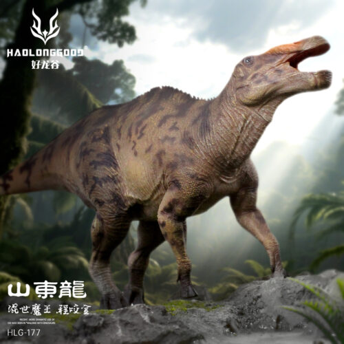 Haolonggood Shantungosaurus Cheng Yao Jin