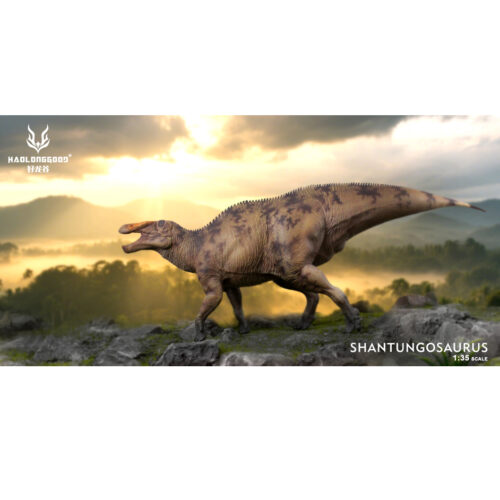 Haolonggood Shantungosaurus Cheng Yao Jin