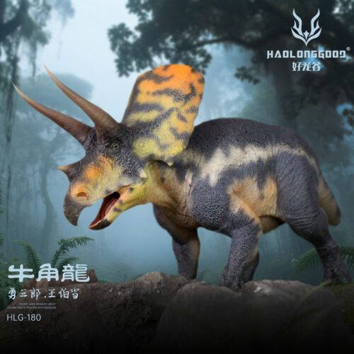 Haolonggood Torosaurus Wang Bo Dang