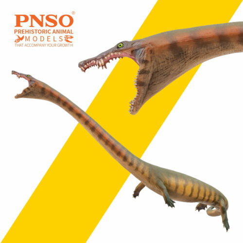 PNSO Xiaochong the Dinocephalosaurus