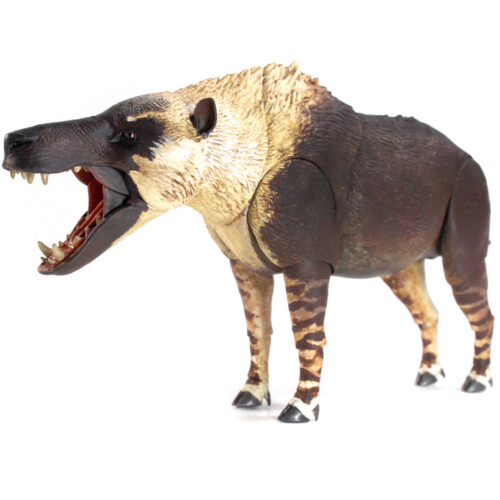 Beasts of the Cenozoic Andrewsarchus mongoliensis