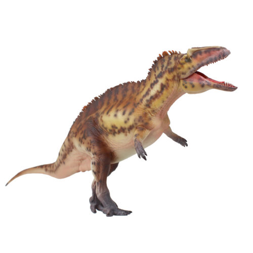 Haolonggood Acrocanthosaurus Dong Ping
