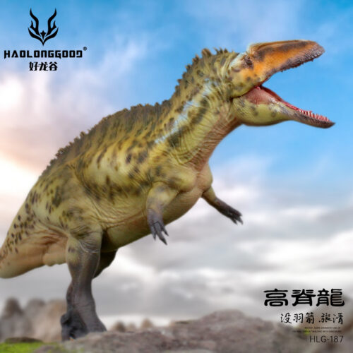 Haolonggood Acrocanthosaurus Zhang Qing