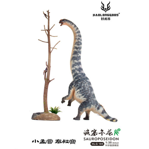 Haolonggood Sauroposeidon 185a Qing Shu Ba