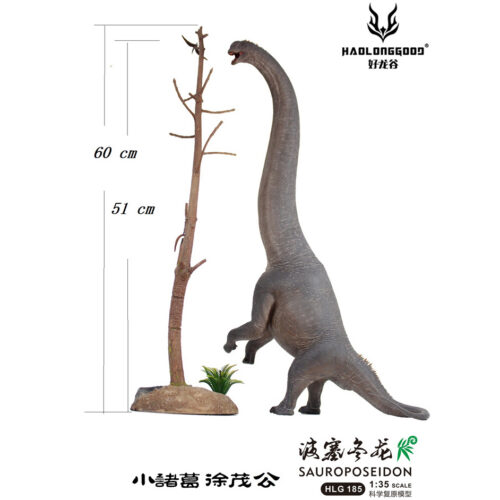 Haolonggood Sauroposeidon 185b Xv Mao Gong