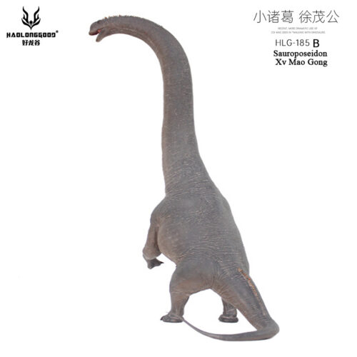 Haolonggood Sauroposeidon 185b Xv Mao Gong