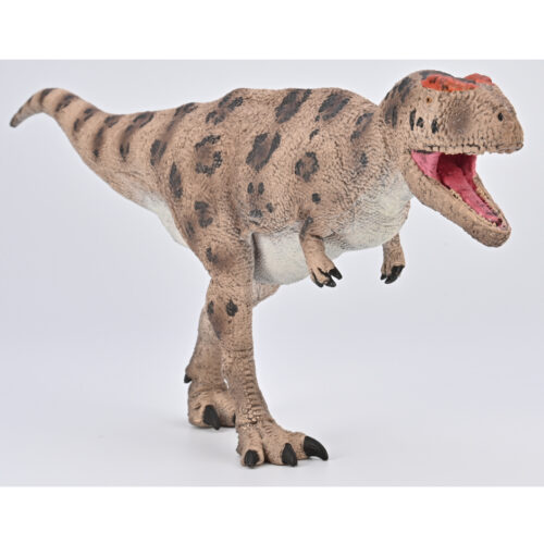 Meraxes gigas.