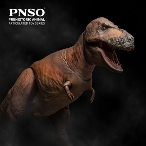 PNSO articulated Cameron the Tyrannosaurus rex