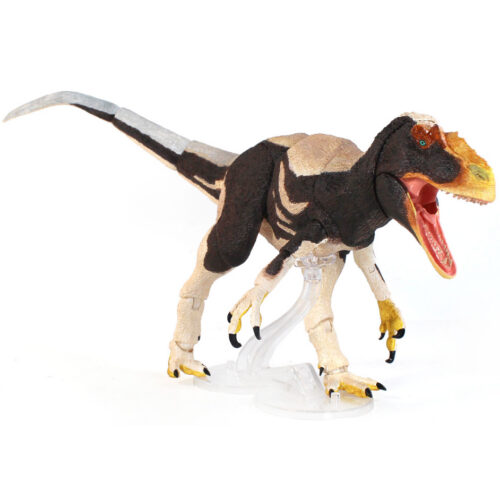 The Y. huali articulated dinosaur model lunges forward.