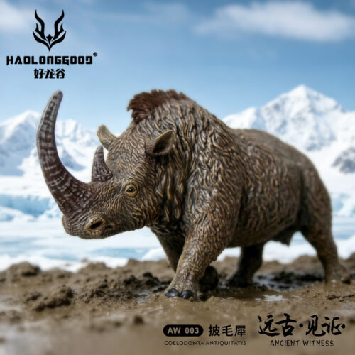 Haolonggood Coelodonta antiquitatis