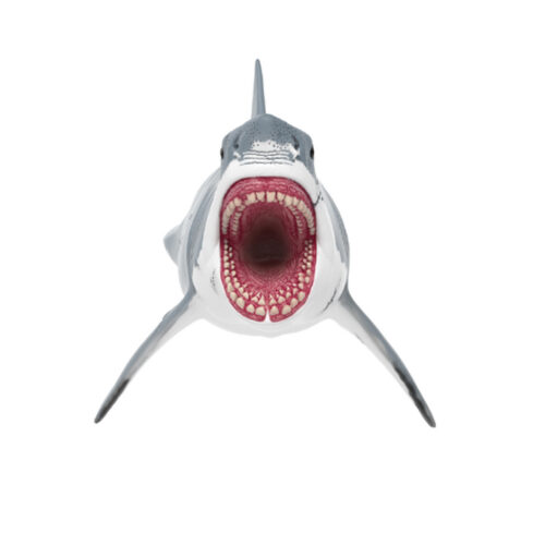Schleich Megalodon model.