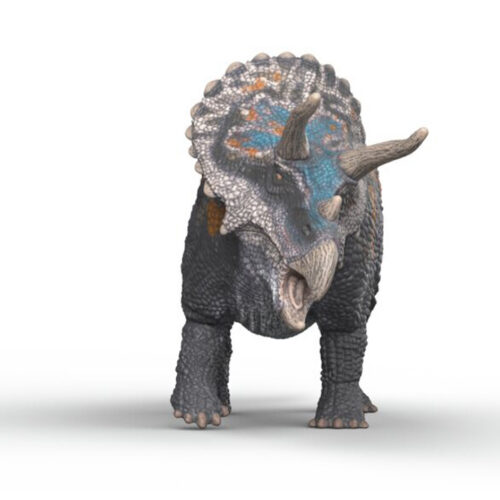 Triceratops figure shown in anterior view.