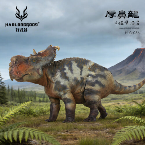 Haolonggood Pachyrhinosaurus Lv Fang New Colour