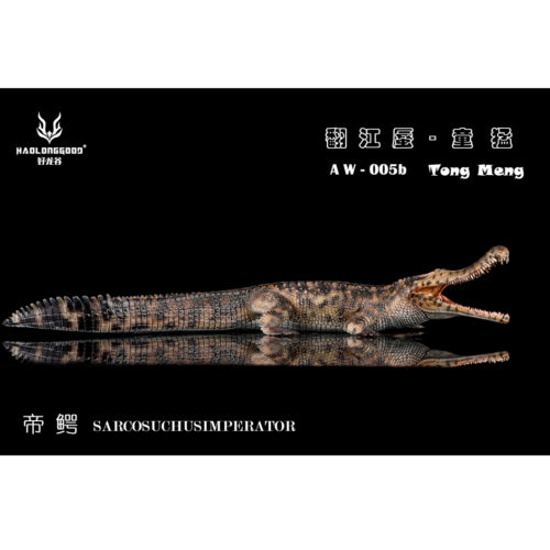Haolonggood Sarcosuchus imperator Tong Meng