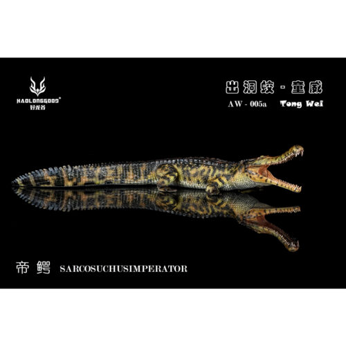 Haolonggood Sarcosuchus imperator Tong Wei
