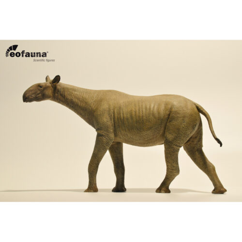 Eofauna Paraceratherium grangeri